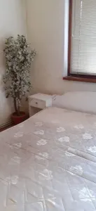 Apartament 2 camere Satu Mare - poza 6