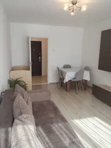 Apartament 2 camere Satu Mare - poza 2