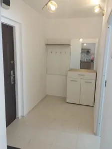 Apartament 2 camere Satu Mare - poza 3