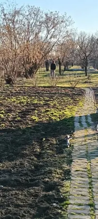 Casă 2 camere Satu Mare - poza 2