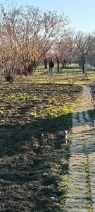 Casă 2 camere Satu Mare - poza 2