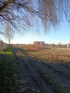 Casă 2 camere Satu Mare - poza 3