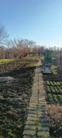 Casă 2 camere Satu Mare - poza 4