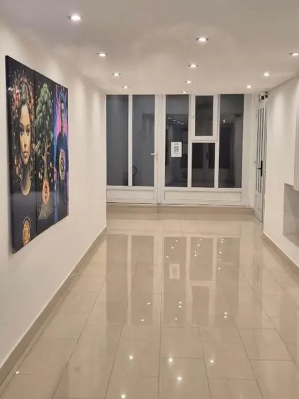 Casă 8 camere Satu Mare - poza 1
