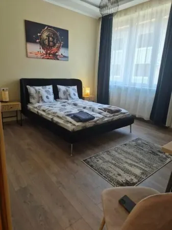 Casă 8 camere Satu Mare - poza 13