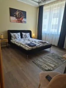 Casă 8 camere Satu Mare - poza 13
