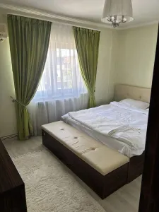 Apartament 2 camere Satu Mare - poza 3