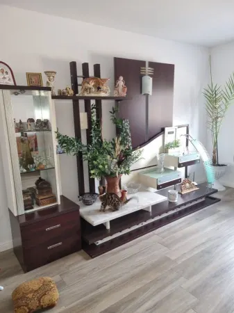 Casă 4 camere Satu Mare - poza 4