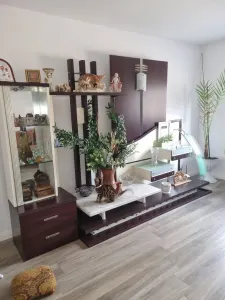Casă 4 camere Satu Mare - poza 4