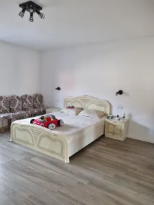Casă 4 camere Satu Mare - poza 5