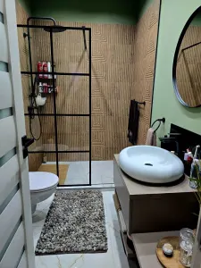 Casă 2 camere Satu Mare - poza 4