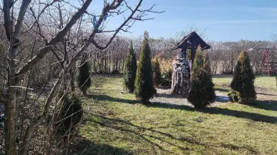 Casă Satu Mare - poza 5