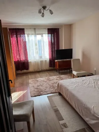 Casă 5 camere Satu Mare - poza 9