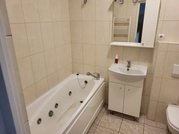 Apartament 2 camere Satu Mare - poza 6