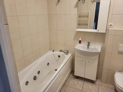 Apartament 2 camere Satu Mare - poza 6