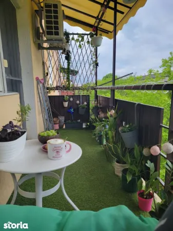 Apartament 2 camere Satu Mare - poza 1