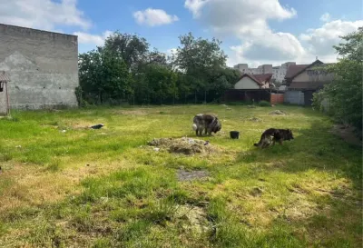 Teren Satu Mare - poza 2