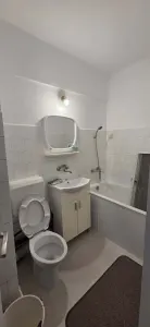 Garsonieră Satu Mare - poza 5