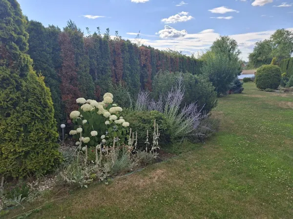 Casă 6 camere Apa - poza 13