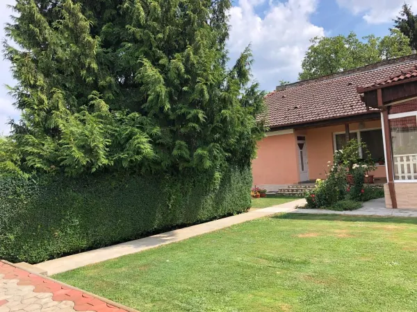 Casă 7 camere Satu Mare - poza 12