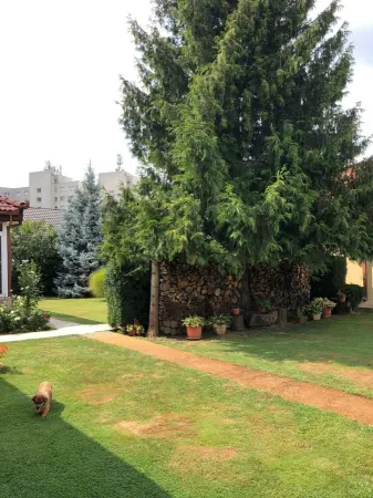 Casă 7 camere Satu Mare - poza 19