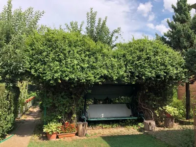 Casă 7 camere Satu Mare - poza 20