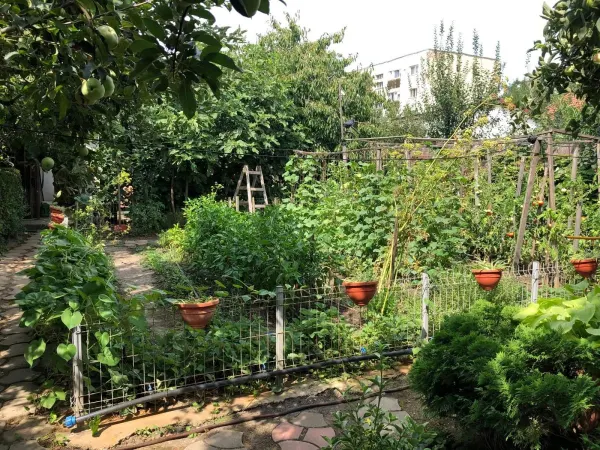Casă 7 camere Satu Mare - poza 21