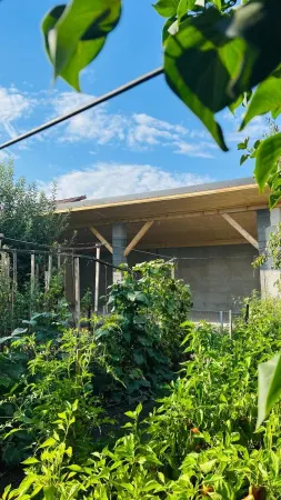 Casă 7 camere Satu Mare - poza 22