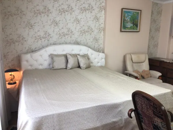 Casă 7 camere Satu Mare - poza 5