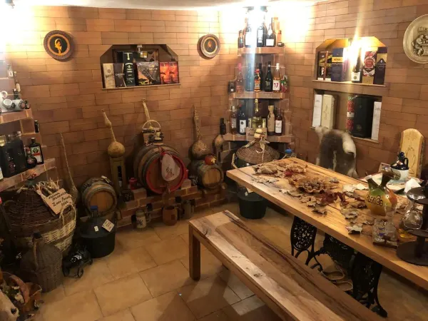 Casă 7 camere Satu Mare - poza 8
