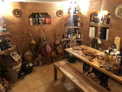 Casă 7 camere Satu Mare - poza 8