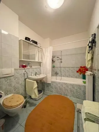 Casă 5 camere Satu Mare - poza 15