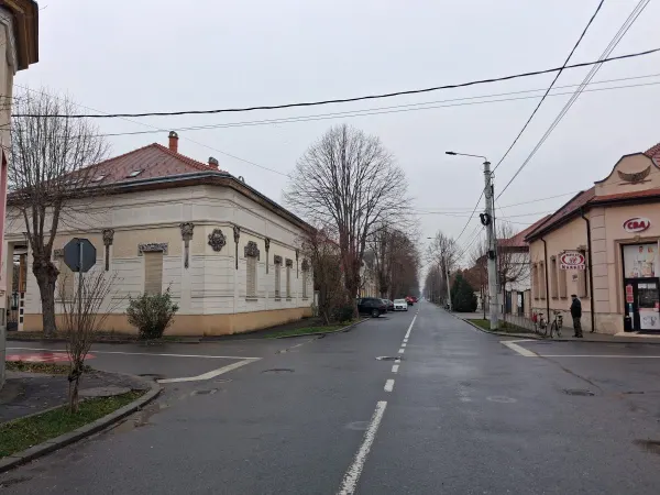 Casă 10 camere Satu Mare - poza 1