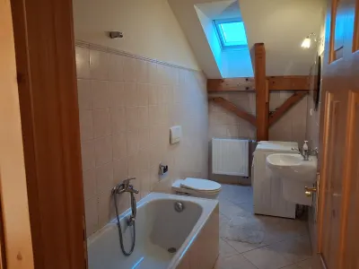 Casă 10 camere Satu Mare - poza 12