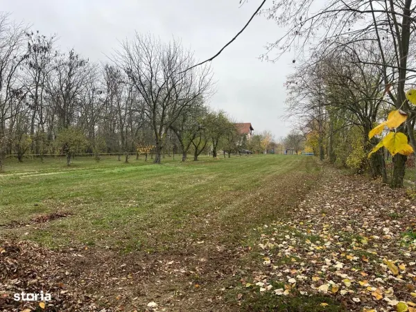 Casă 6 camere Ghermanesti - poza 2