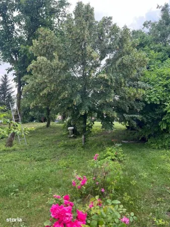 Casă 6 camere Ghermanesti - poza 5
