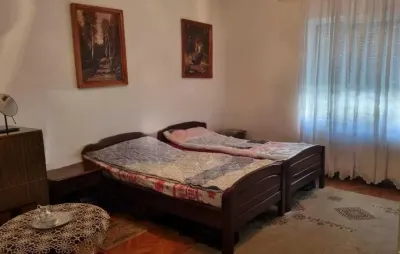 Casă 4 camere Satu Mare - poza 3