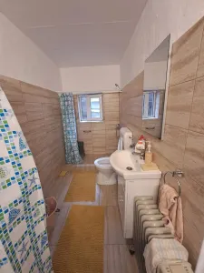 Casă 2 camere Someseni - poza 8