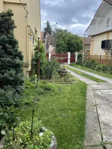 Casă 10 camere Satu Mare - poza 2