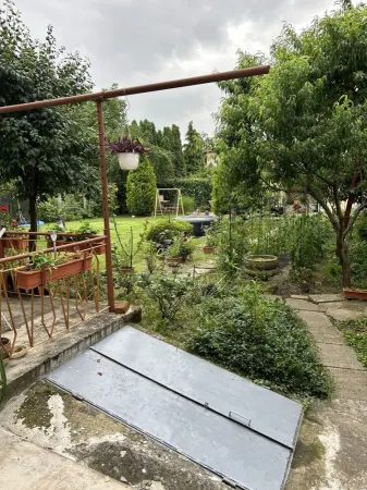Casă 10 camere Satu Mare - poza 3