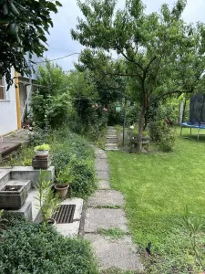 Casă 10 camere Satu Mare - poza 4