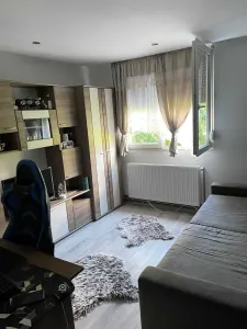 Apartament 2 camere Satu Mare - poza 3