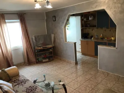 Apartament 3 camere Satu Mare - poza 2