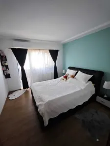 Apartament 4 camere Satu Mare - poza 5