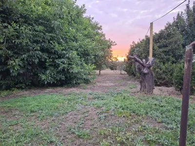 Casă 2 camere Satu Mare - poza 3
