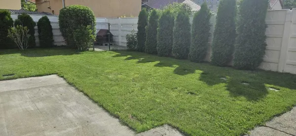 Casă 8 camere Satu Mare - poza 3