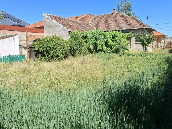 Casă 3 camere Satu Mare - poza 4