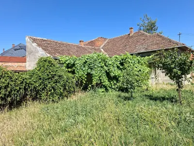 Casă 3 camere Satu Mare - poza 5
