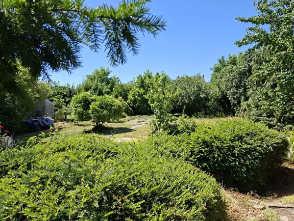 Casă 6 camere Satu Mare - poza 17