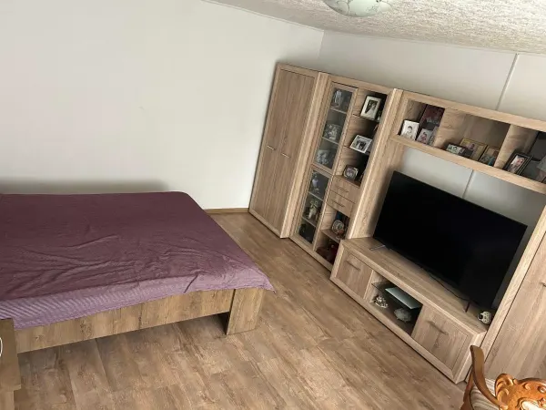 Casă 3 camere Satu Mare - poza 3